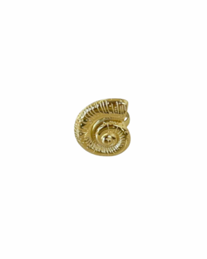 Ring R026 Hoorn Goud