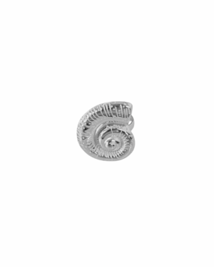 Ring R026 Hoorn Zilver