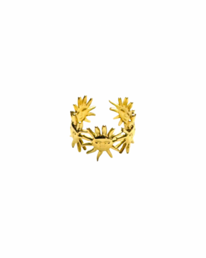 Ring R058 Zonnen Goud