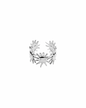 Ring R058 Zonnen Zilver