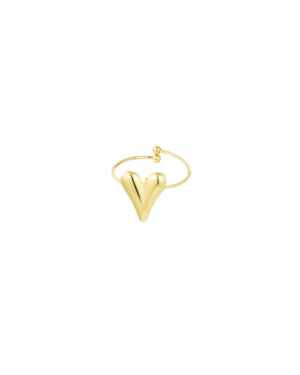 Ring R020 Hartje Goud