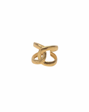 Ring R001