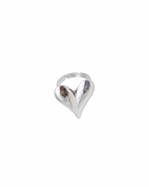 Ring R019 Hart Zilver